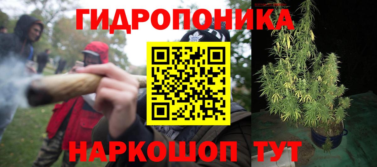 Каннабис планчик Выкса